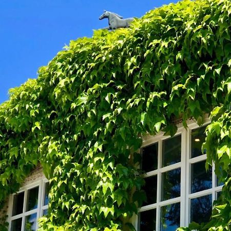 Apartment Gaestehaus Schloss Bothmer Швармштедт Экстерьер фото